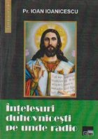 coperta Intelesuri duhovnicesti pe unde radio (Cu dedicatia autorului)