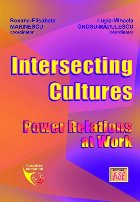 coperta Intersecting cultures : power relations at work