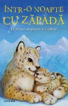 Intr noapte zapada povesti magice