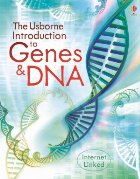 Introduction to genes and DNA