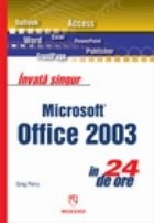 Invata singur Microsoft Office 2003