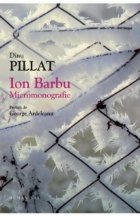 Ion Barbu. Micromonografie