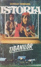 Istoria tiganilor