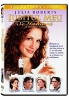 coperta Iubitul meu se insoara