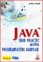 JAVA ghid practic pentru programatori