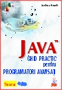JAVA, ghid practic pentru programatori avansati