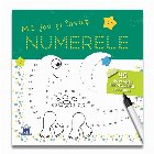 coperta MA JOC SI INVAT NUMERELE - 46 de planse refolosibile + o carioca