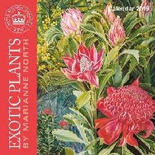 Kew Gardens - Exotic Plants by Marianne North - mini wall ca