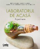 Laboratorul de acasa. Experimente