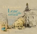 coperta Leac de criza (Audiobook)