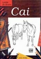 LECTIA DE DESEN. CAI