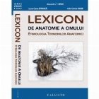 Lexicon de Anatomie a Omului, Etimologia Termenilor Anatomici
