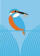 Like Birds: River Estuary Shore