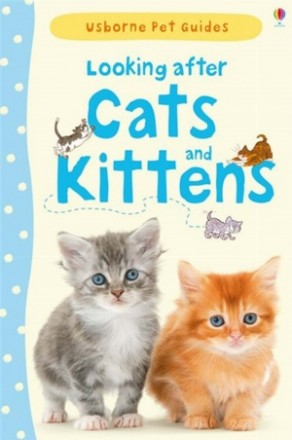 Looking after cats and kittens