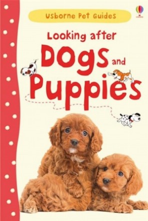 Looking after dogs and puppies