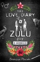 Love Diary Zulu Boy