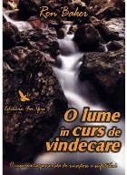 coperta O lume in curs de vindecare. O experienta personala de renastere a sufletului