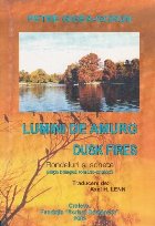 Lumini Amurg Dusk Fires (Rondeluri