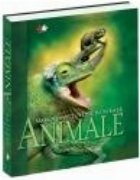 Marea enciclopedie ilustrata-Animale