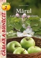 coperta Marul - Cultivare si retete culinare