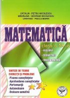 Matematica - clasa a IX-a - Algebra. Geometrie. Trigonometrie - Sinteze de teorie. Exercitii si probleme
