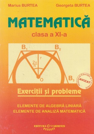 Matematica. Clasa a XI-a. Elemente de algebra liniara. Elemente de analiza matematica. Exercitii si probleme