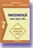 Matematica Exercitii Probleme Teste (clasa