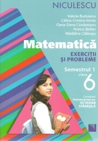 Matematica. Exercitii si probleme pentru clasa a VI-a, semestrul I
