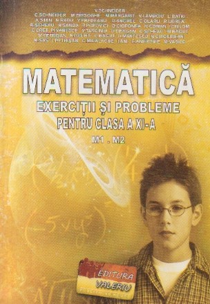 Matematica, Exercitii si probleme pentru clasa a XI-a, M1-M2