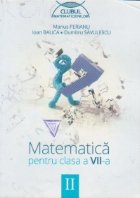 Matematica pentru clasa VII semestrul