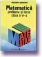 Matematica. Probleme si teste, Clasa a VI-a