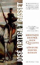 Meditaţii despre Don Quijote - Gânduri despre roman