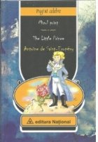 Micul Print The Little Prince