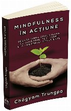 Mindfulness in actiune. Dezvoltarea armonioasa cu ajutorul meditatiei si a prezentei constiente