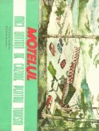 coperta Motelul - Mici unitati de cazare pentru turism