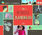 În interiorul plămânilor