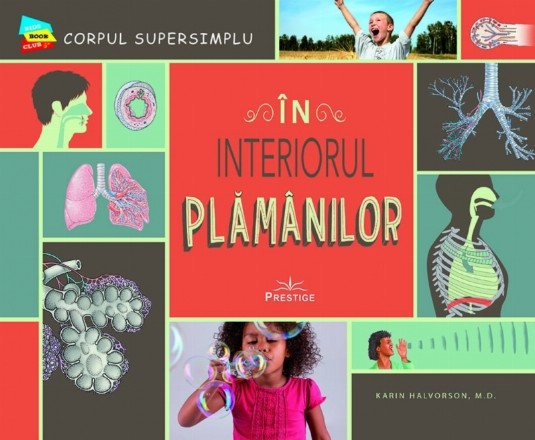 În interiorul plămânilor