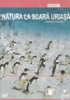 coperta Natura la scara uriasa (Massive Nature)