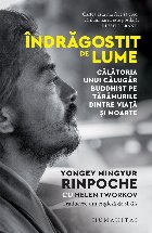 Îndrăgostit de lume : Călătoria unui călugăr buddhist pe tărâmurile dintre viaţă şi moarte