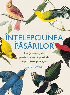 Înţelepciunea păsărilor