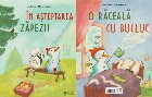 coperta O ninsoare cu bucluc,O răceală cu bucluc