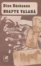 Noapte valaha roman