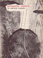 Normarea muncii industria lemnului