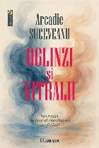 Oglinzi şi vitralii : interviuri, anchete şi chestionare, confesiuni