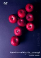 Organizarea eficienta companiei spre maximizarea