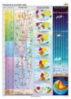 coperta Pamantul si evolutia vietii (160 x 120 cm)