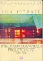 Panorama romanului proletcultist