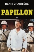 Papillon vol