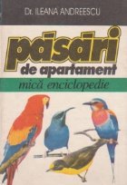 Pasari apartament mica enciclopedie