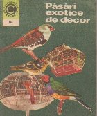 Pasari exotice de decor